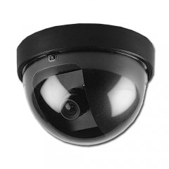 Russian Regular Dome Camera For CCTV