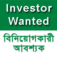 Financial Investor Wanted for IT Firm large image 0