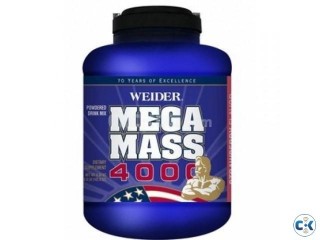 Mega Mass 4000 8.9 lb