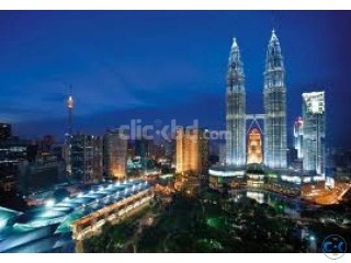 Malaysia work visa for professional.