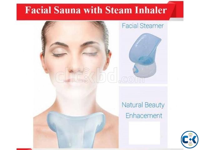 Facial Steam Inhaler 22
