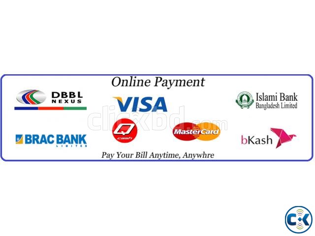 Online Payment Gateway Solution large image 0