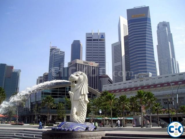 Exclusive Singapore Tour Package large image 0