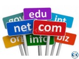 Domain Registration Hosting Service