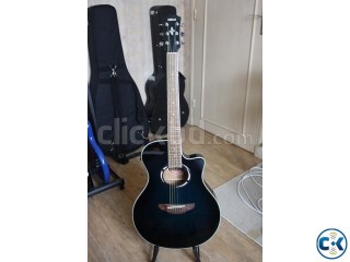 Want to buy Yamaha APX 500 Guitar