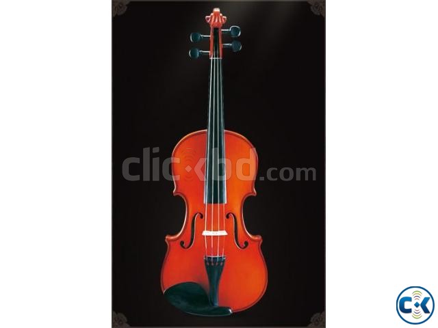 Anisha Violin Mv-001 Exclusive large image 0