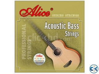 Acoustic Guitar BASS 4 string