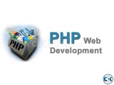 Professional Web Development Course