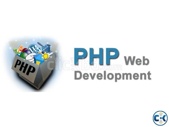 Professional Web Development Course large image 0