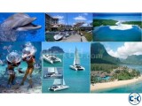 Study in Mauritius with job