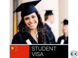 Student visa processing