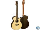 ANISHA Acoustic Guitar Model W-02RC