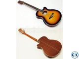ANISHA Acoustic Guitar Model HW-024AHC