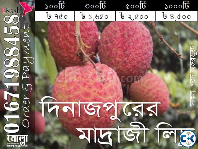 All types of best Lichu of Dinajpur large image 0