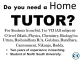 Do you need a home tutor 