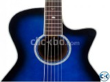 Daisy RoCk DRG Acoustic guitar