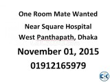One Room Mate Wanted at West Panthapath Dhanmondi