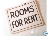 3 Rooms for Rent February 2016 