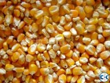 TOP YELLOW MAIZE CORN FOR ANIMAL FEED HUMAN CONSUMPTION