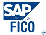 Complete Training of SAP FICO