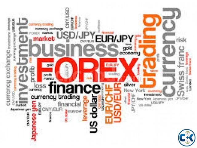 how to open your own forex company