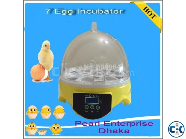 Egg Incubator-7Egg- ডিম ফোটানর যন্ত্র large image 0