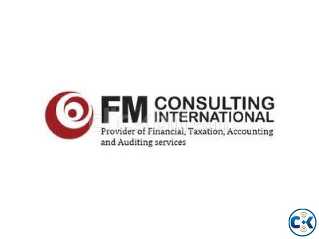 FM Consulting International large image 0