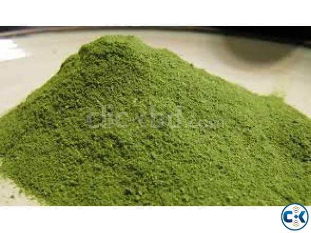 100 Pure Organic Moringa Oleifera Leaf Powder large image 0