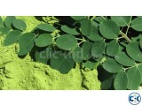 100 Pure Organic Moringa Oleifera Leaf Powder