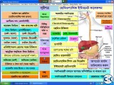Homeopathic Bangla Software