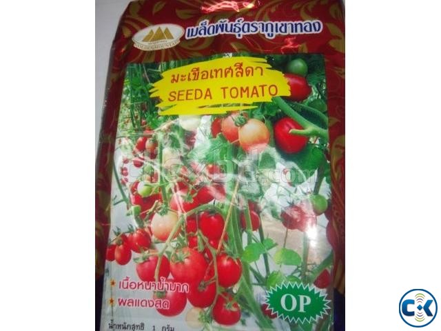 Plant Seed Bangladesh Asparagas Cherry Tomato Sweet Basil large image 0