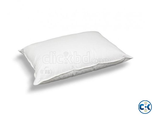 Dolphin Pillow-18x28  large image 0