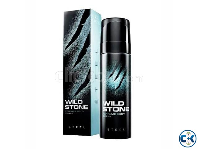 WILD STONE Steel Perfume Body Spray - 120ml large image 0