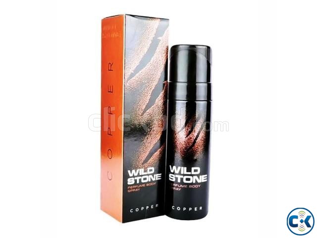 WILD STONE Copper Perfume Body Spray - 120ml large image 0