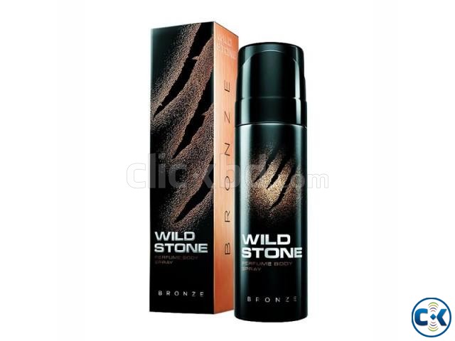 WILD STONE Bronze Perfume Body Spray - 120ml large image 0