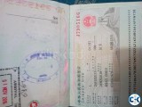 china job visa