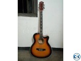 Acoustic Guitar TGM 