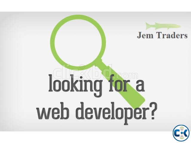Web Designer Development For Online Work from home large image 0
