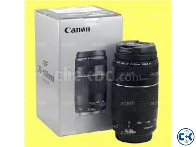 Canon Ultrasonic EF 75-300mm USM DSLR Camera Lens large image 0