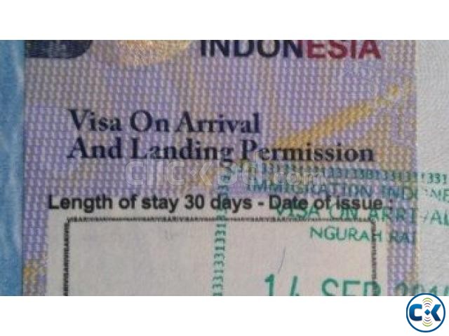Tourist Visa in Indonesia Visa large image 0