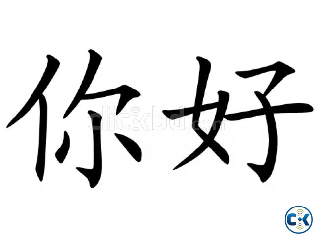 চীনা ভাষা শিক্ষা কোর্স large image 0