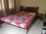 Bed Wooden 