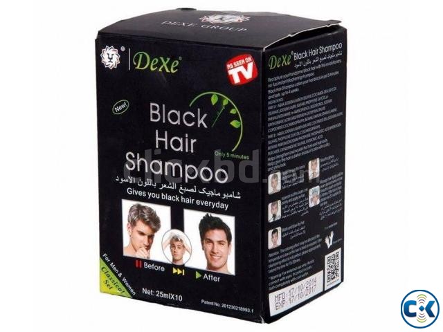 Dexe Black hair Shampoo 9929911.  large image 0