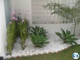 500g White Mini Garden Stones Decorative