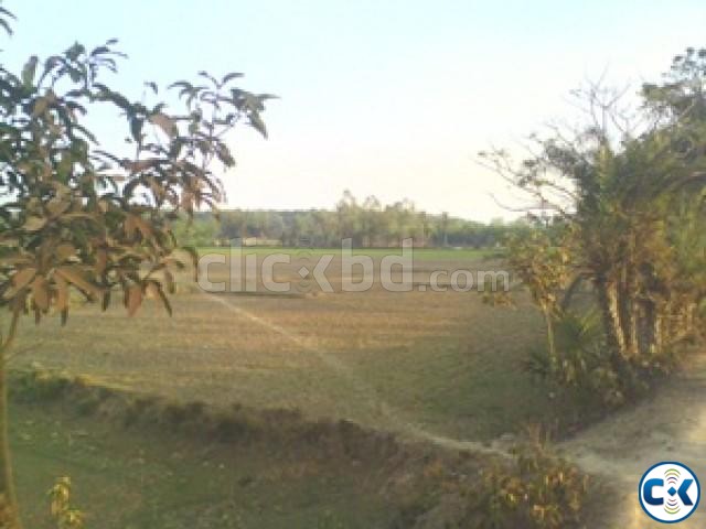 Mouja Gazipur Land for Sale beside Virgo Pharmaceuticals  large image 0