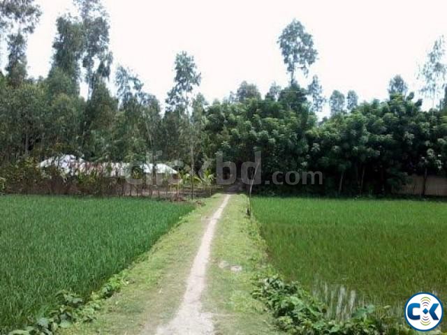 Lands and Pond Sale in Ulipur উলিপুরে জমি এবং পুকুর বিক্রি  large image 0