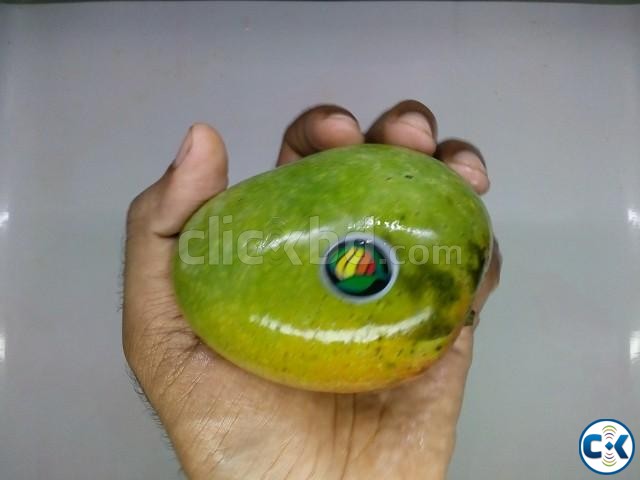 চাঁপাইনবাবগঞ্জের আম Chapai Mango  large image 0