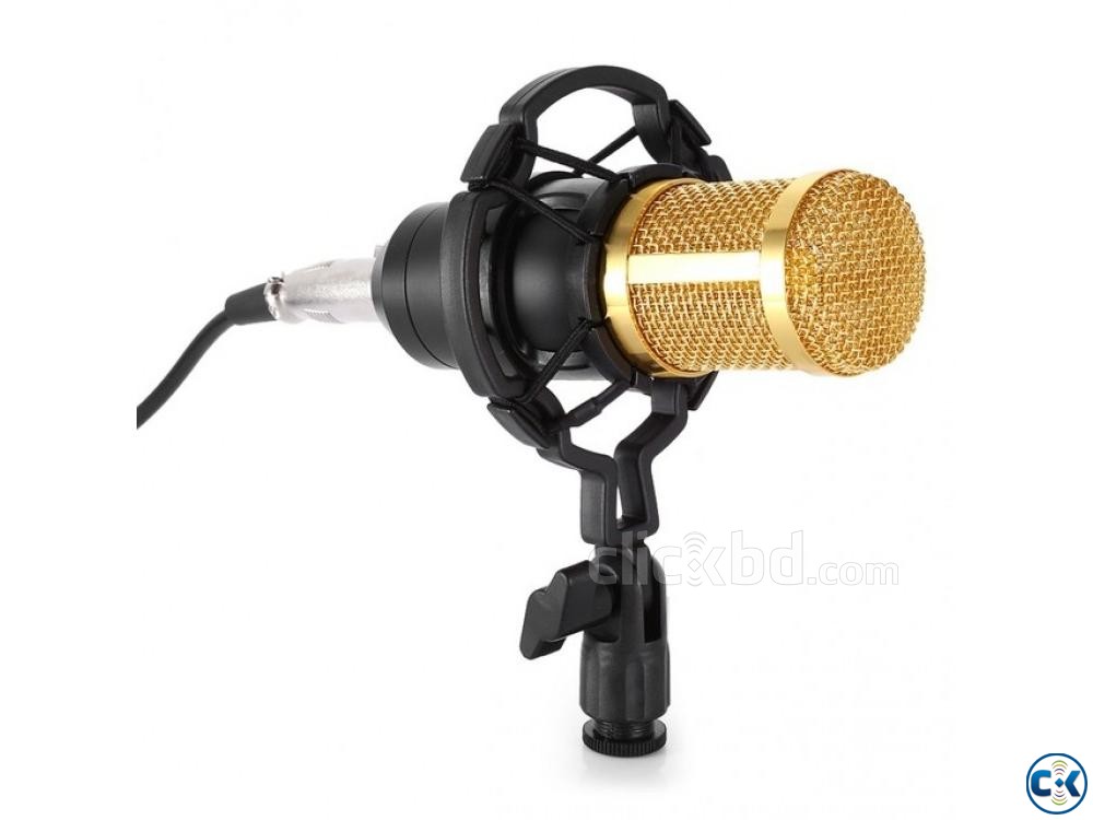 BM800 High Performance Condenser Microphone large image 0