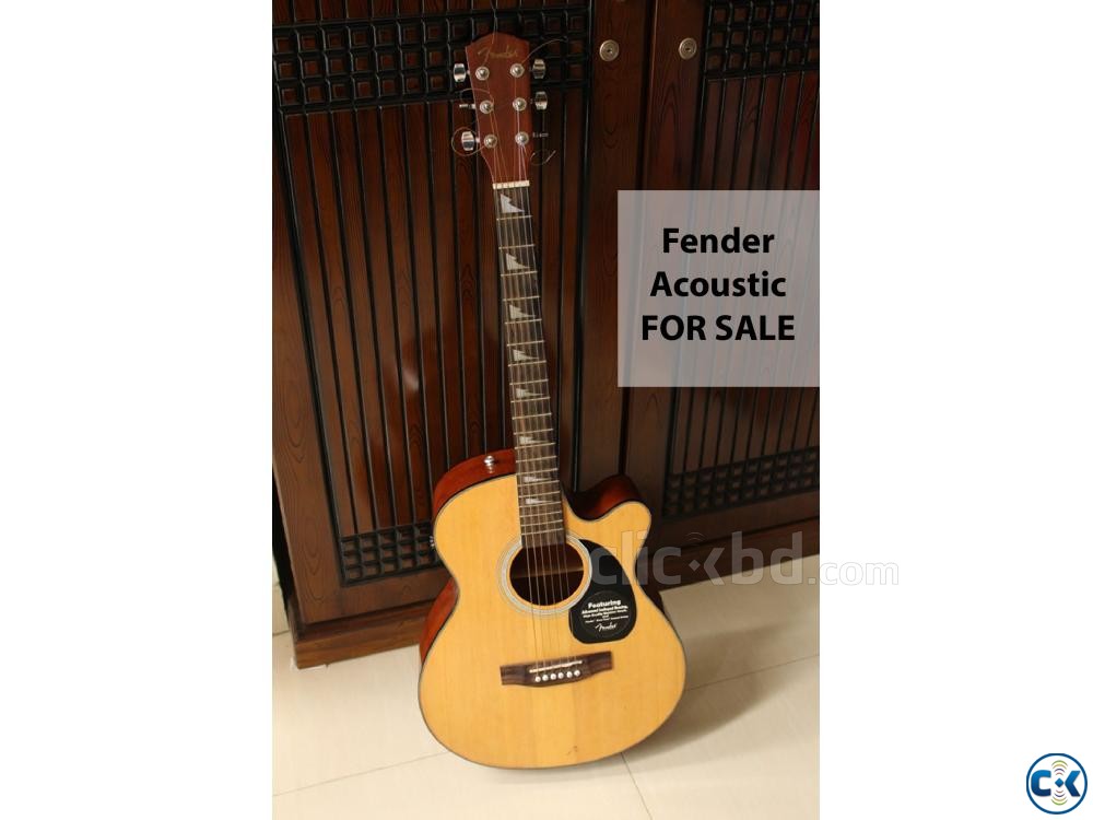 Fender Acoustic For Sale large image 0