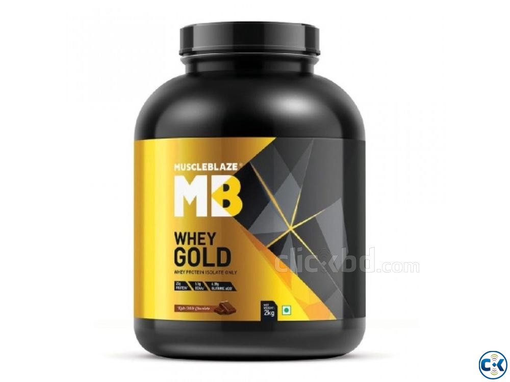 Healthy Instant Whey Protein 100 Gold Standard large image 0